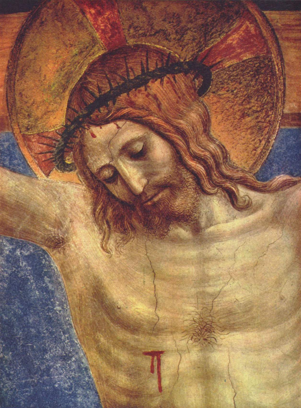 The Crucified Christ